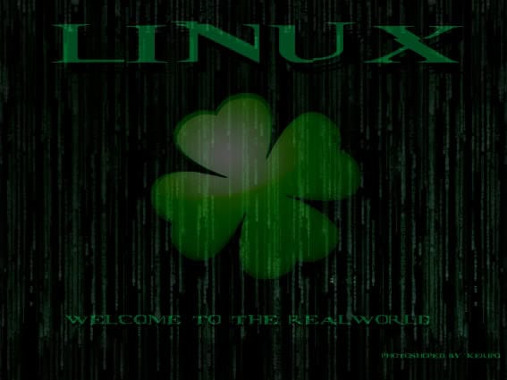 iPodLinux Podzilla 0 and Podzilla 2 Compiling Environment for Slax