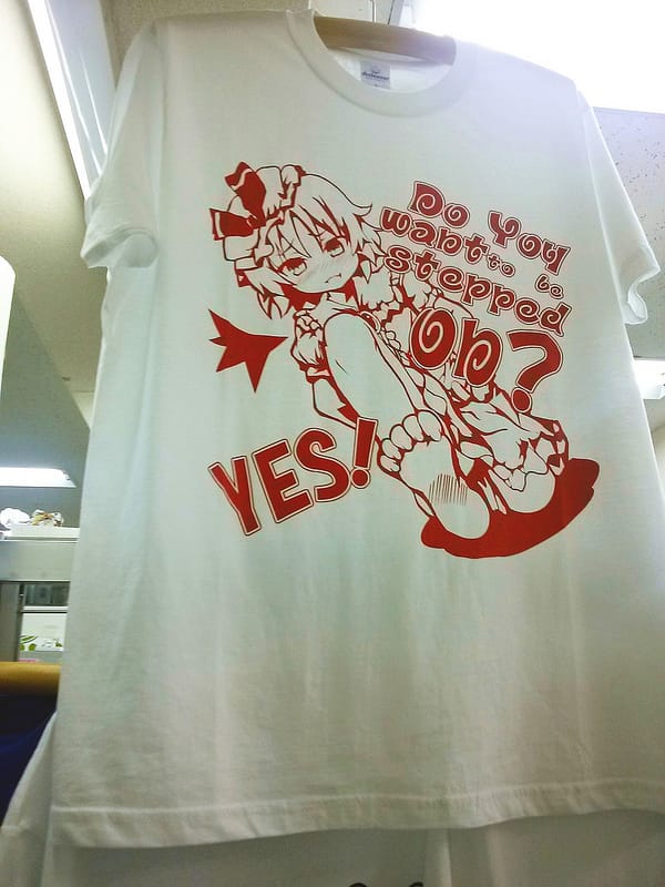 Japan Trip 2013 - Akihabara P6