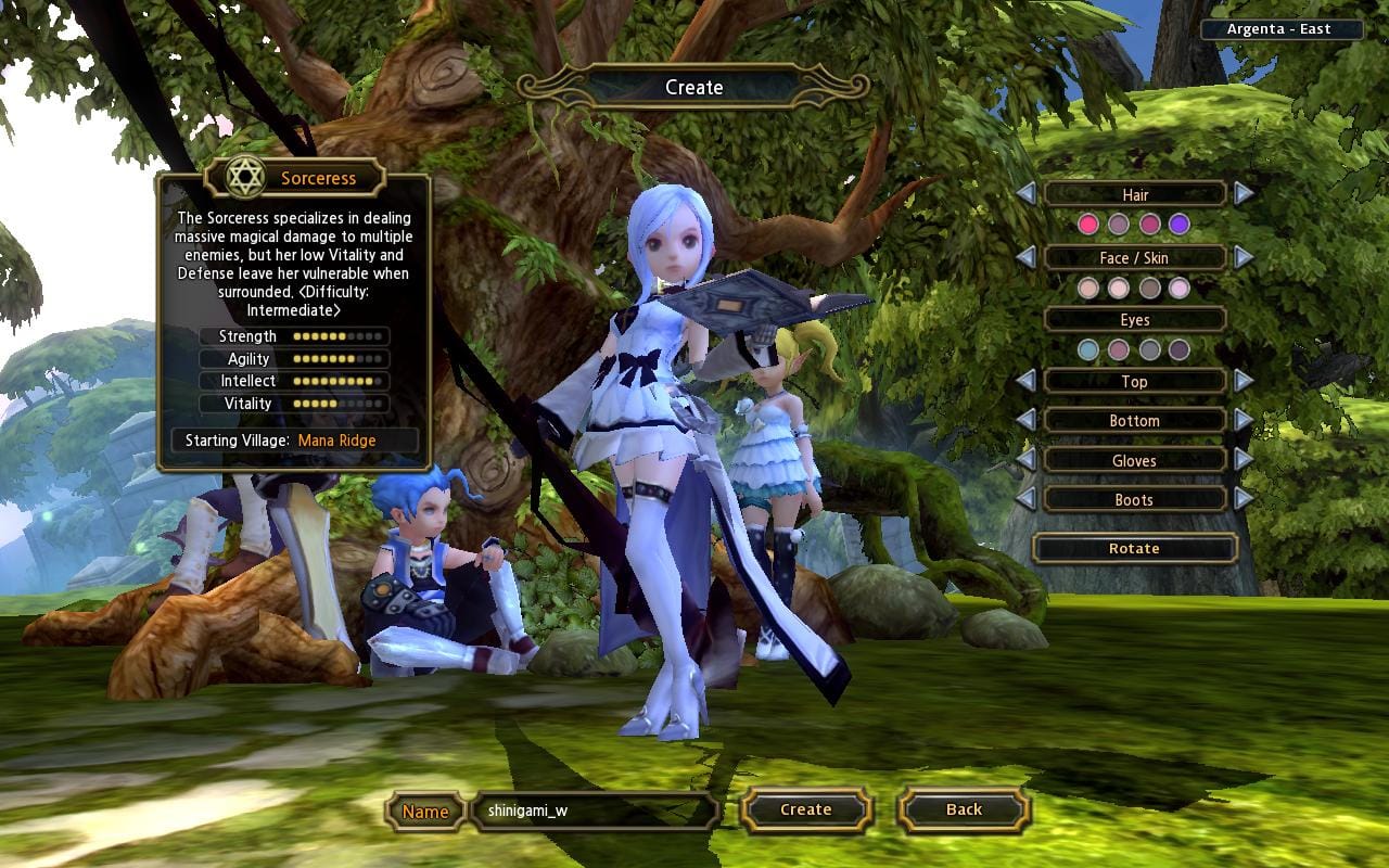 Dragon Nest Custom Costume - Shinigami