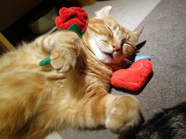 Japan Trip 2013 - Akihabara P7