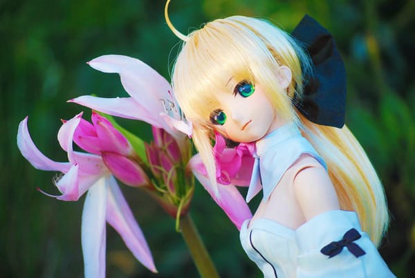 Saber Lily at Botanic Garden